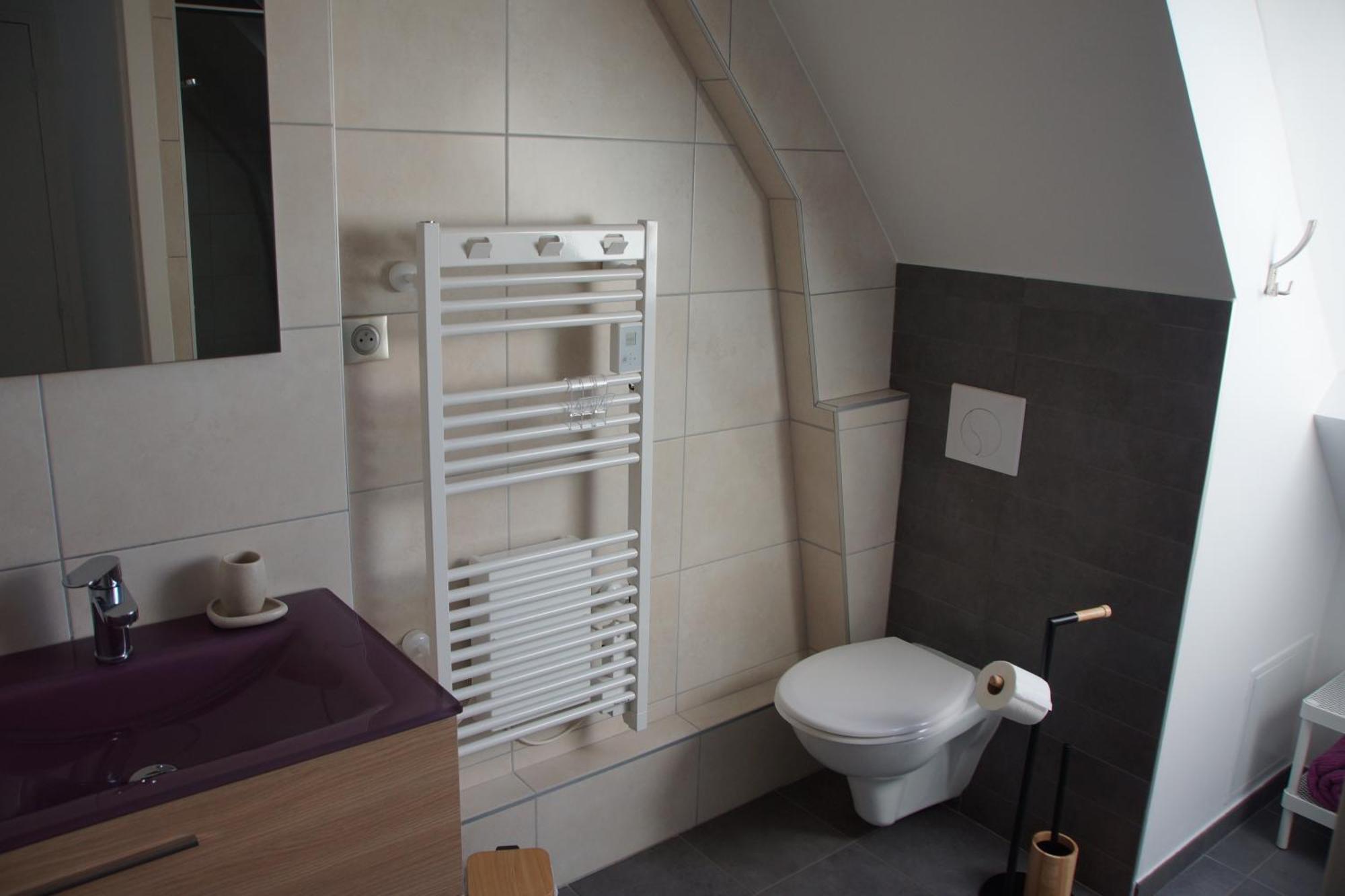Logis Saponine Chambres D'Hotes Au Calme En Touraine Savonnieres Exterior photo